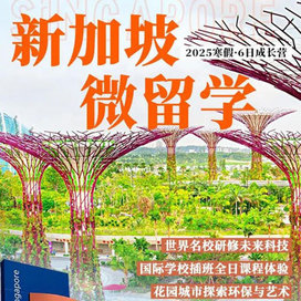 童行悦【新加坡独立】6天微留学国际冬令营|国际学校插班+探索人文历史+研修未来科技