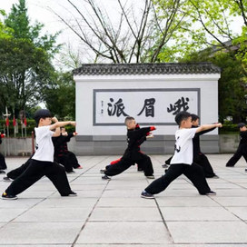 峨眉武术14天峨眉武术体验夏令营|武术特色技能+力量训练+提高身体素质