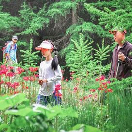 GoodCamp【北京-张家口】5天大黄蜂成长夏令营|独特勋章体系+综合能力培养+互动性强