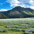 【甘肃独立】6天西北传奇游学夏令营|黄河文明+祁连牧歌+丝绸之路+地质奇观