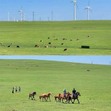 【呼和浩特独立】6天内蒙游牧记夏令营|游牧草原+火山探秘+沙漠黄河